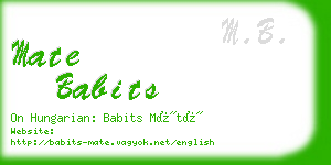 mate babits business card